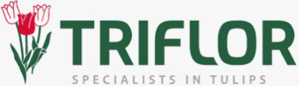 Triflor